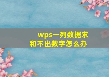 wps一列数据求和不出数字怎么办