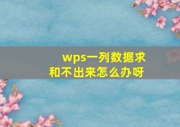 wps一列数据求和不出来怎么办呀