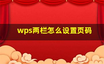 wps两栏怎么设置页码