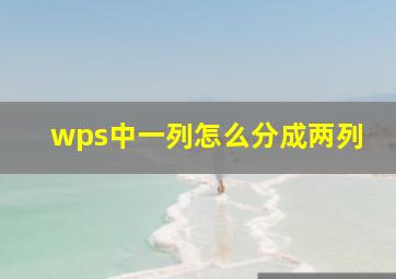 wps中一列怎么分成两列