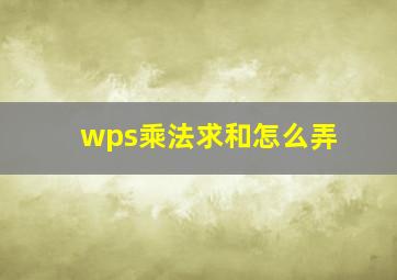 wps乘法求和怎么弄