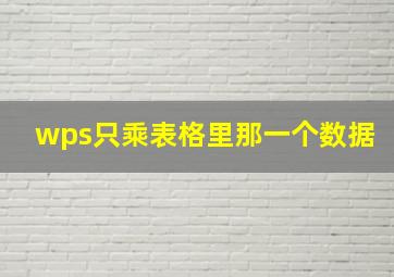 wps只乘表格里那一个数据