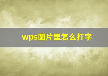 wps图片里怎么打字