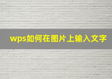 wps如何在图片上输入文字