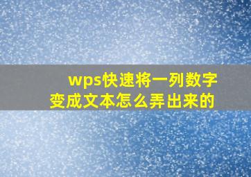 wps快速将一列数字变成文本怎么弄出来的