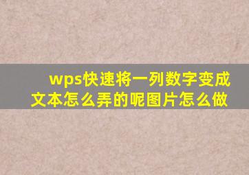 wps快速将一列数字变成文本怎么弄的呢图片怎么做