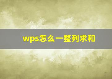 wps怎么一整列求和