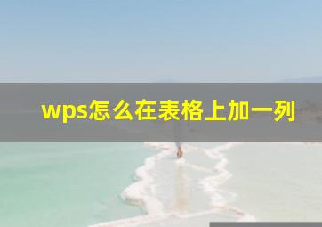 wps怎么在表格上加一列