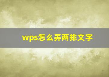 wps怎么弄两排文字