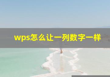 wps怎么让一列数字一样