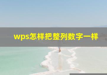 wps怎样把整列数字一样