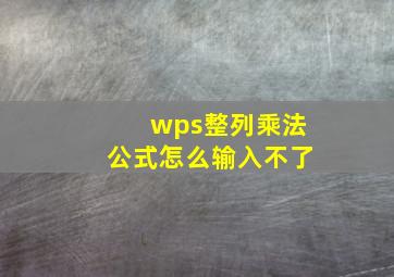 wps整列乘法公式怎么输入不了