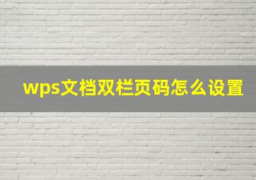 wps文档双栏页码怎么设置