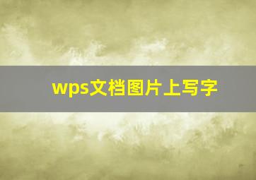 wps文档图片上写字