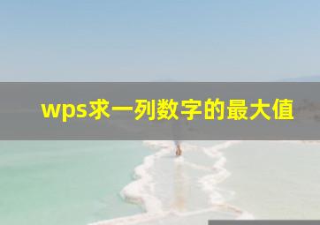 wps求一列数字的最大值