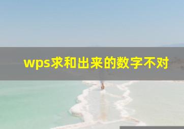 wps求和出来的数字不对