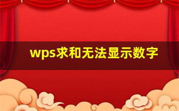 wps求和无法显示数字