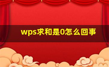 wps求和是0怎么回事