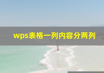 wps表格一列内容分两列