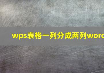 wps表格一列分成两列word