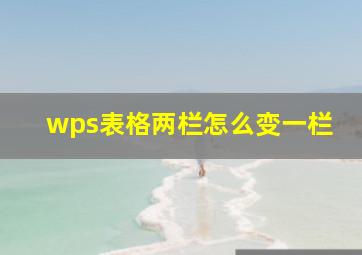 wps表格两栏怎么变一栏