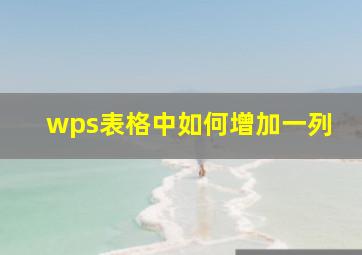 wps表格中如何增加一列