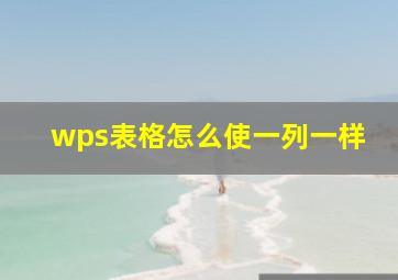 wps表格怎么使一列一样