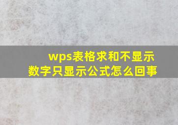 wps表格求和不显示数字只显示公式怎么回事