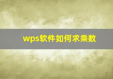 wps软件如何求乘数