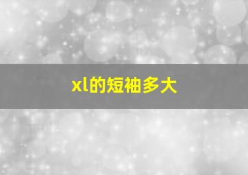 xl的短袖多大