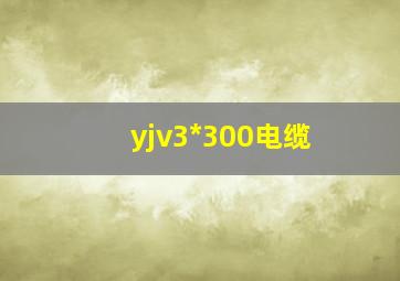 yjv3*300电缆