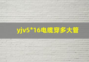 yjv5*16电缆穿多大管