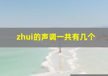 zhui的声调一共有几个