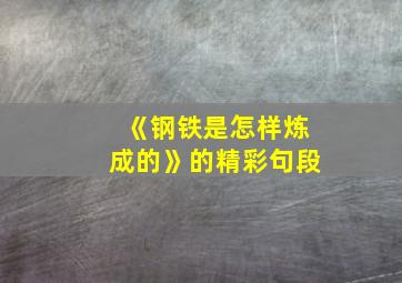 《钢铁是怎样炼成的》的精彩句段