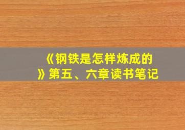 《钢铁是怎样炼成的》第五、六章读书笔记