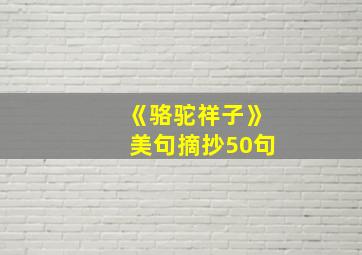 《骆驼祥子》美句摘抄50句