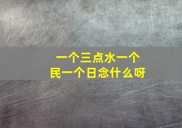 一个三点水一个民一个日念什么呀