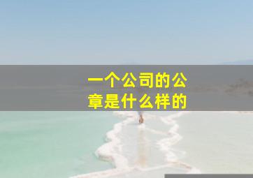 一个公司的公章是什么样的