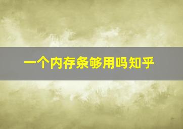 一个内存条够用吗知乎