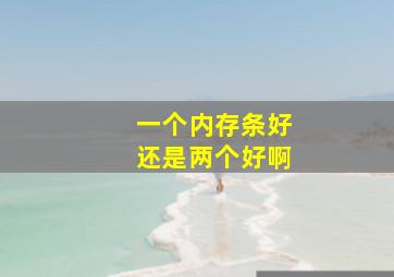 一个内存条好还是两个好啊