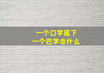 一个口字底下一个巴字念什么