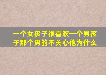 一个女孩子很喜欢一个男孩子那个男的不关心他为什么