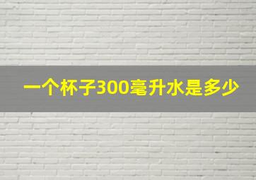 一个杯子300毫升水是多少