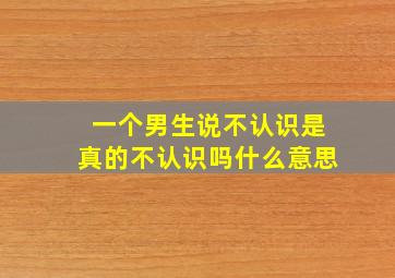 一个男生说不认识是真的不认识吗什么意思