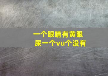 一个眼睛有黄眼屎一个vu个没有