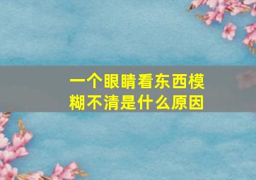 一个眼睛看东西模糊不清是什么原因