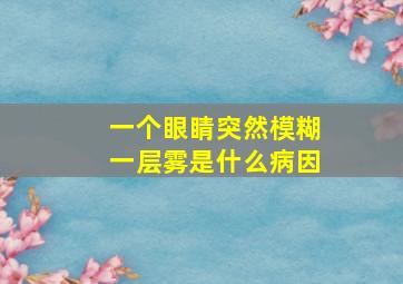 一个眼睛突然模糊一层雾是什么病因