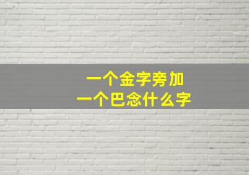 一个金字旁加一个巴念什么字