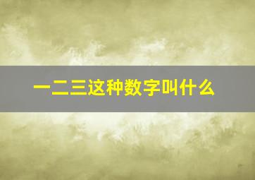 一二三这种数字叫什么