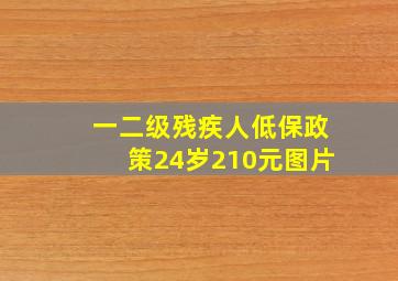 一二级残疾人低保政策24岁210元图片